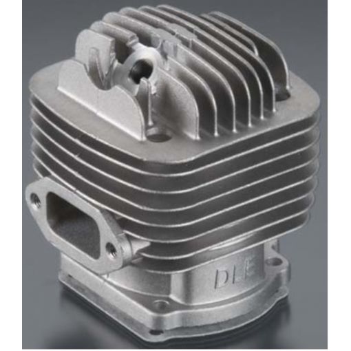 Cylinder w/Gasket DLE120