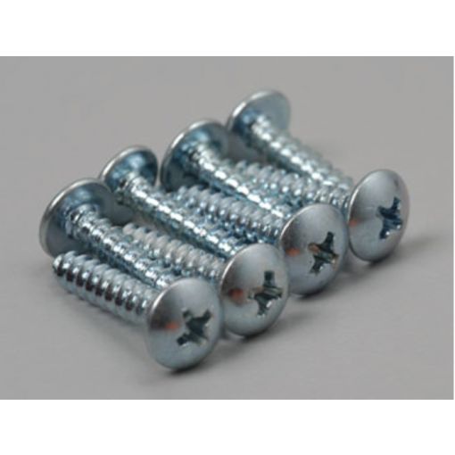 Sheet Metal Screws Phillips 6x3/4 (8)